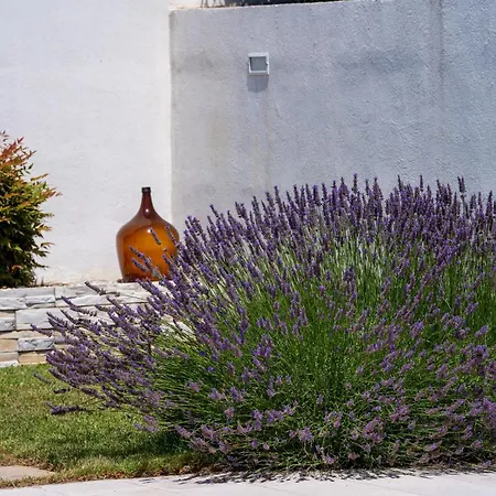 Pool House Edita - Happy Holiday home