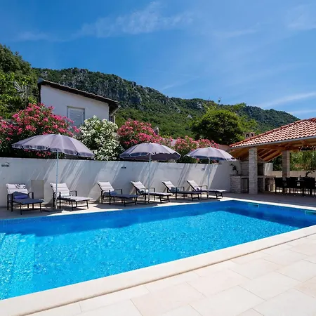Pool House Edita - Happy