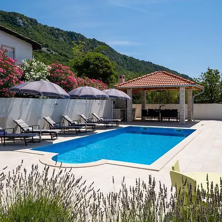 Pool House Edita - Happy Dom wakacyjny