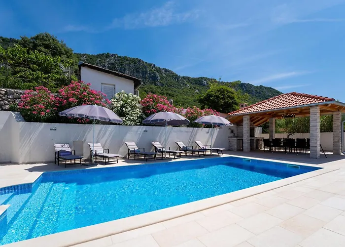 Pool House Edita - Happy